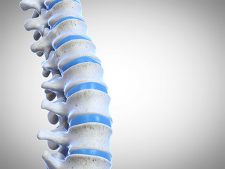 3d rendered medically accurate illustration of the human spine