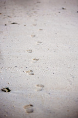 Happy beautiful fashion family, children, dressed in hawaiian shirts, playing together on the beach on sunset