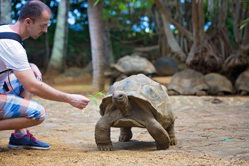 Happy family, children and parents, feeding giant tortoises in a exotic park on Mauritius island