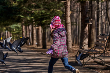 Girl in a red jacket, hat and glasses chasing pigeons in the park. A girl walks along a park alley on a sunny spring day.