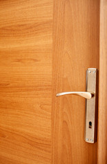 Modern wooden door close-up