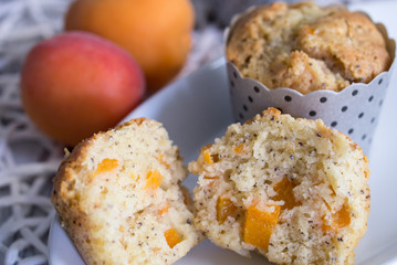 Mandarinen Mohn Muffins