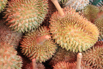 Naklejka na ściany i meble duria thai fruit.