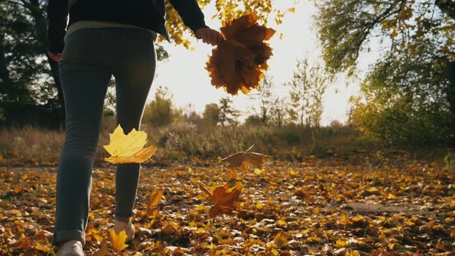 Young woman running through autumn park with bouquet of yellow maple leaves in her hand. Girl having fun in colorful autumnal forest with vivid fallen foliage. Sun illuminates environment. Slow motion