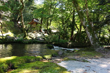 京都・上賀茂神社の小川