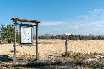 Dünenlandschaft mit Wanderdüne und Sand bis zum Horizont mit vereinzelten Bäumen auf der...