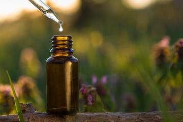 Essential oil dripping from  into glass bottle.