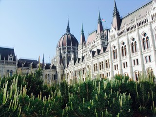 Fototapeta na wymiar Budapest parlement