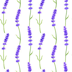 Lavender flowers. Seamless pattern. Hand drawn watercolor illustration. Texture for print, fabric, textile, wallpaper.