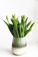 Multy purpose fresh flower composition, bouquet of green tulips w/ closed buds in glass vase. Women's day, mother's day greeting concept. Copy space, close up, top view, crop shot, background.