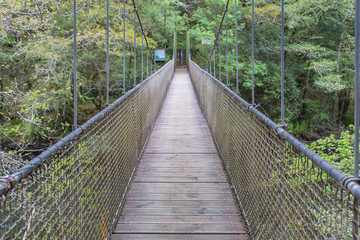 suspension bridge over a river