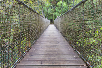Obraz premium suspension bridge over a river