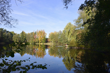 Fototapeta na wymiar Lake in the forest in autumnal colors and blue sky