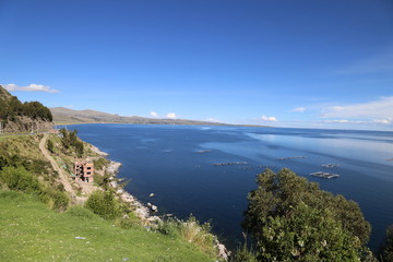 チチカカ湖　養殖場　ペルー