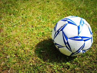 Fototapeta premium pallone da calcio sul prato 