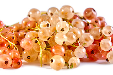 Currant berries white and pink on a white background