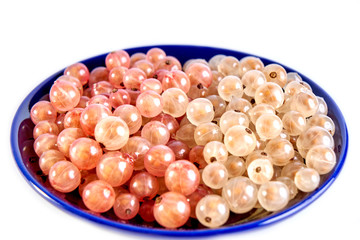 Currant berries white and pink on a blue plate
