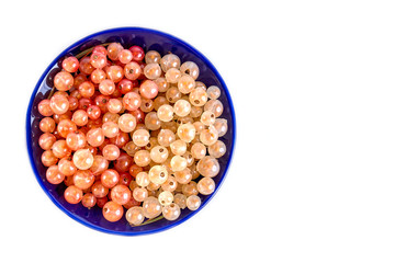 Currant berries white and pink on a blue plate