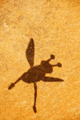 bee shadow stone background 