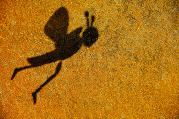 bee shadow stone background 