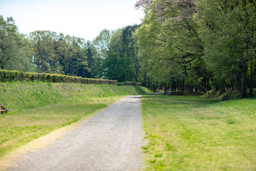 公園　緑　散歩　自然