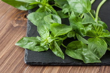 Bunch of fresh organic basil on cutting board 