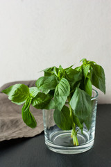 Fresh green basil leaves in glass