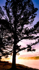 Gorgeous sunset with purple sky hues off the shore of lake with trees