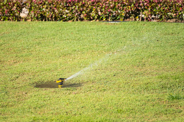 Automatic sprinkler system watering the lawn on a background of green grass.Thailand.