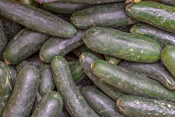 A heap of cucumbers. Photographed at the local traditional market of the colonial town of Villa de Leyva in the Andean mountains of central Colombia.