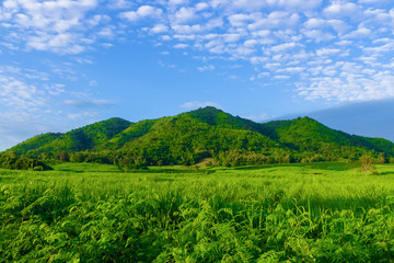 Mountain view landscape of Thailand countryside on morning. Full of green nature and beautiful cloud