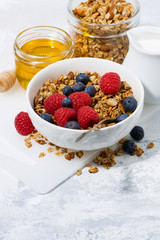 fresh cottage cheese with granola and honey, vertical