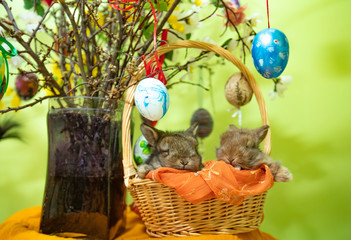 small rabbits eastrn decoration 