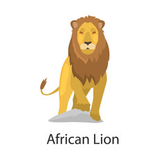African lion color vector icon. Flat design