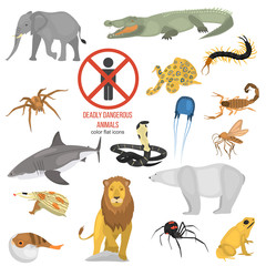Dangerous for human life wild animals color vector icons set. Flat design