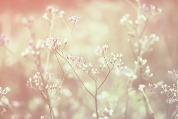 Abstract  grunge brown  illustration art background for design  