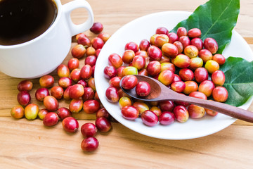 Red ripe coffee beans