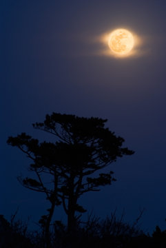 The moon of Kozushima Island - 伊豆七島・神津島の月の出