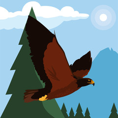 beautiful eagle flying in the landscape majestic bird