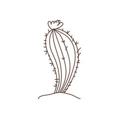 cactus in landscape isolated icon