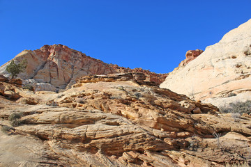 Capitol Reef National Park, Utah