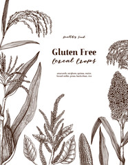 Gluten free plants design template. Hand drawn cereal crops sketches. High detailed vegetarian food illustration. Isolated farm market products. Great for packaging, menu, label.