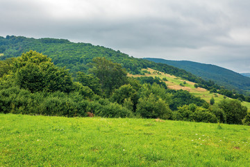 Obraz premium countryside in mountain on a cloudy summer day. beautiful landscape with rural hay fields on hills near the forest