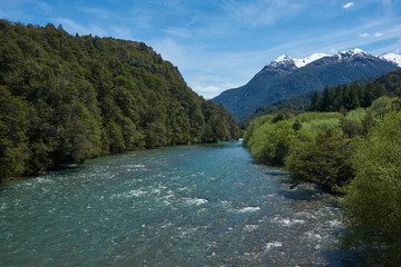Naklejka na ściany i meble River Espolon flowing through a forested valley in Patagonia, southern Chile.