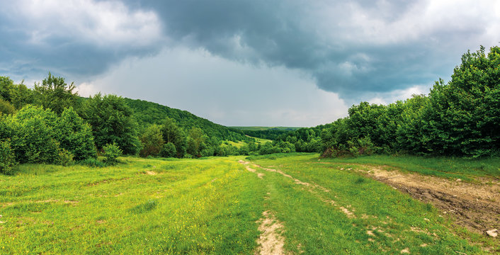 panorama of a summer countryside in mountains. path through meadow between forest. cloudy sky before the storm