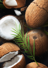 Fresh ripe coconut on dark marble background