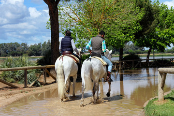 Riders on horseback on a dirt road, facing the pedestrian promenade overlooking the Marsh of El...