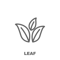 Leaf icon. Element of row matterial icon. Thin line icon for website design and development, app development. Premium icon