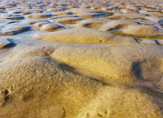 Sandy bottom of the sea at low tide.