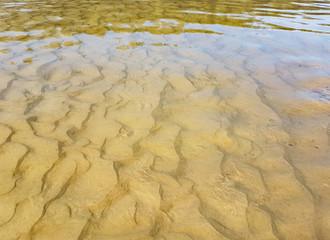 Sandy bottom of the sea at low tide.